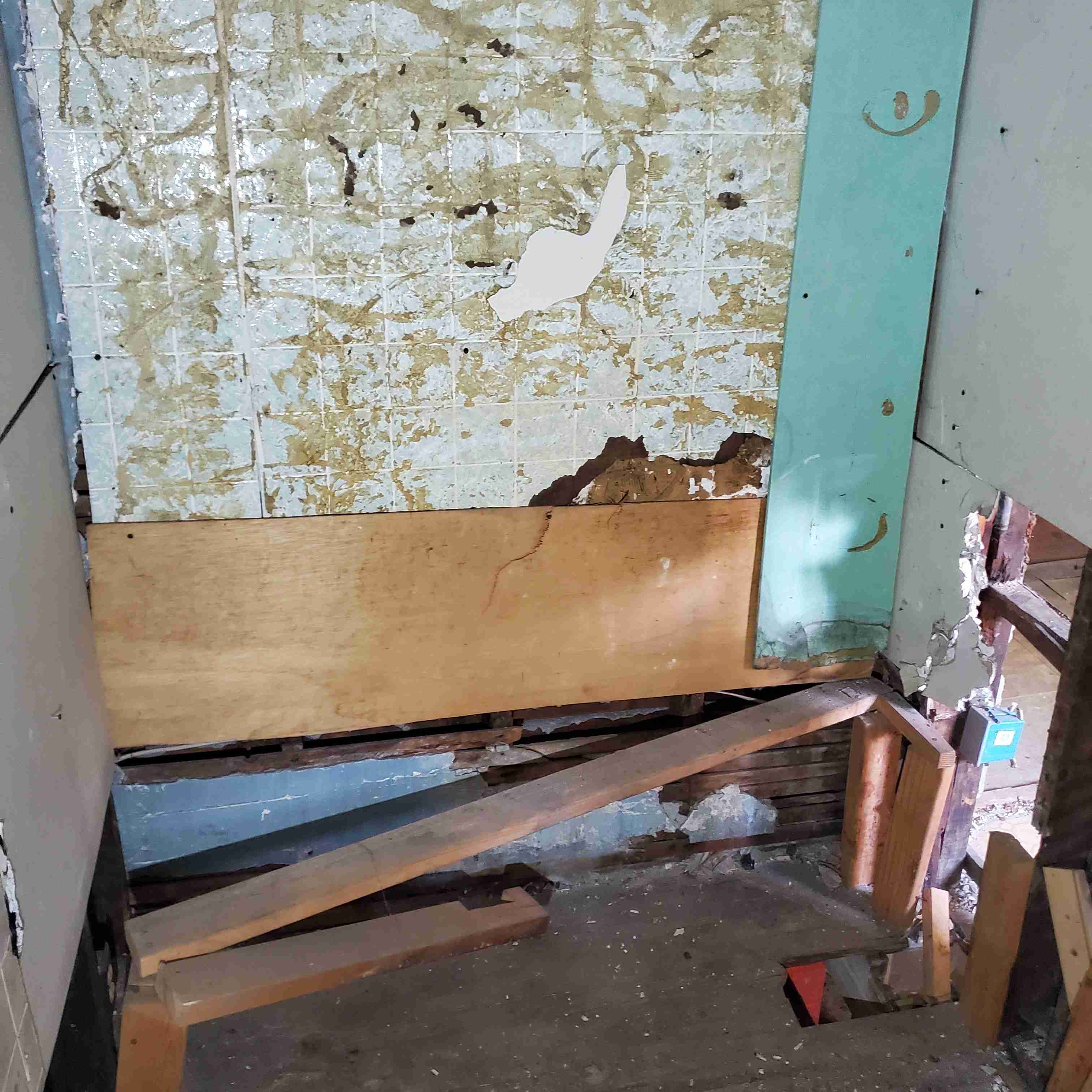 20200812_152304 (2).jpg